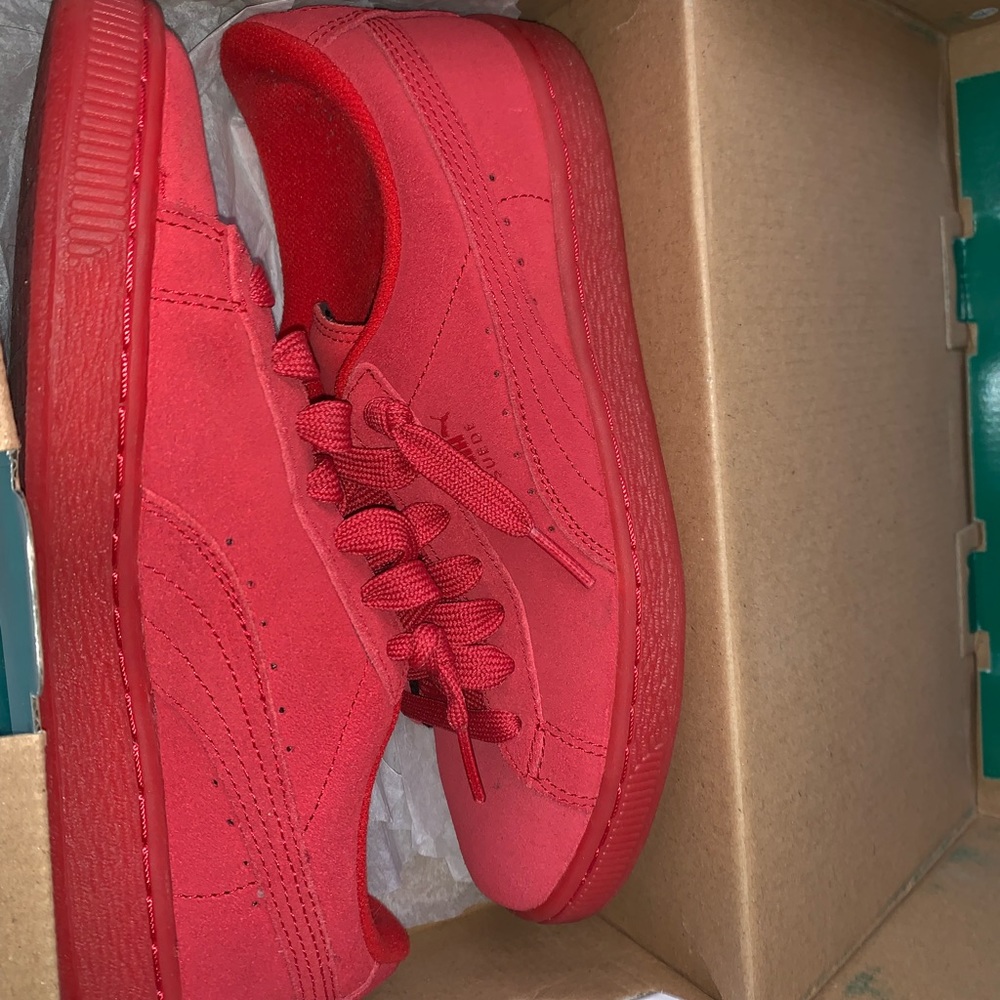 Red pumas